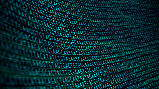 DNA sequence
